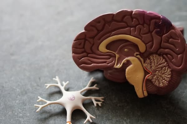 El futuro de la medicina estética: tendencias 2026